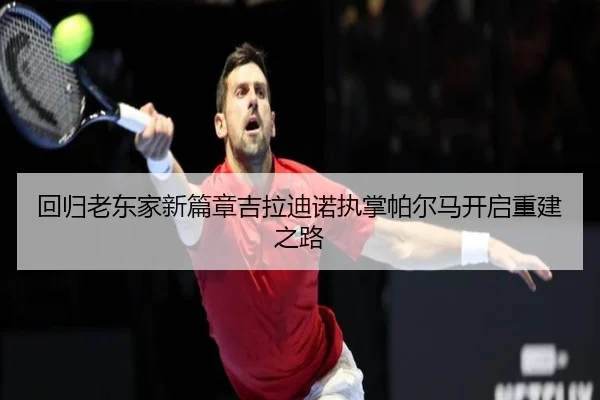 回归老东家新篇章吉拉迪诺执掌帕尔马开启重建之路 - qyg